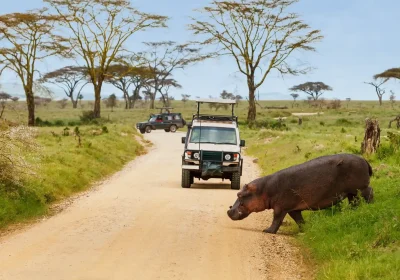 Tanzania Safari Planning Guide: Best Parks, Itineraries + Safari Cost Tips