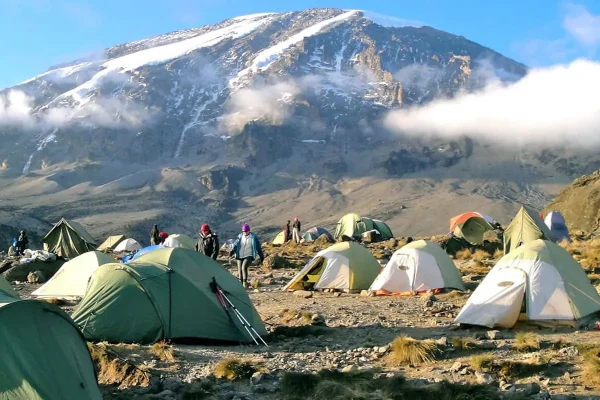 7-Day Lemosho Route Kilimanjaro Climb