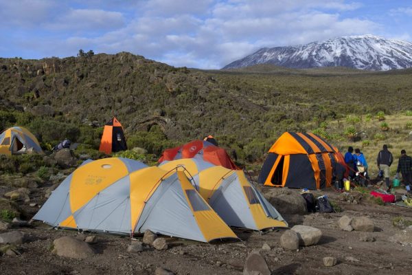 8-Day Northern Circuit Kilimanjaro Climb Mount Kilimanjaro