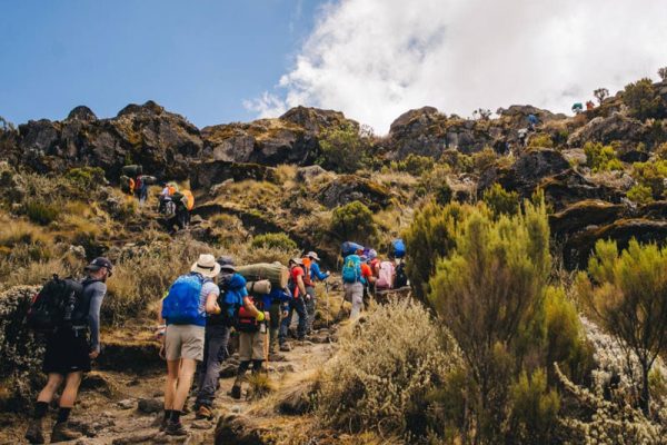 9-Day Complete Northern Circuit Safari