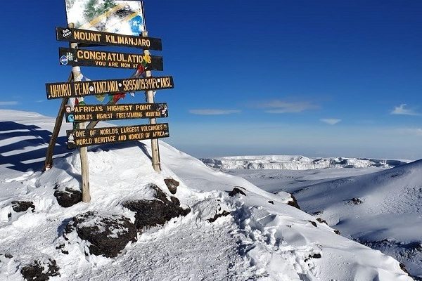 9 Day Kilimanjaro Trek and Ngorongoro Safari Combo