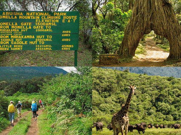 Arusha National Park Day Trip