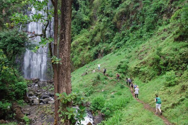 Materuni Waterfalls and Coffee Tour