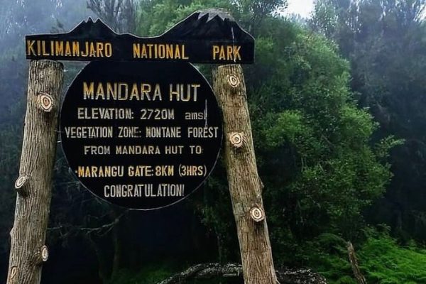Mount Kilimanjaro Day Hike (Mandara Route)