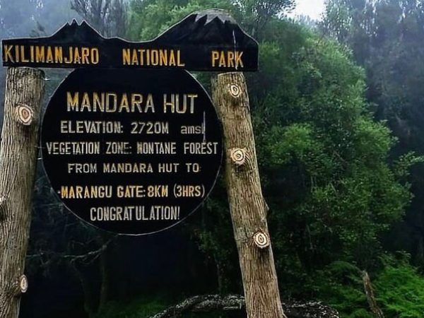 Mount Kilimanjaro Day Hike (Mandara Route)