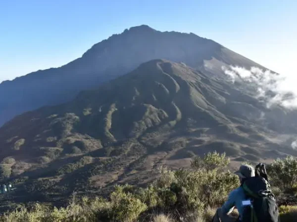 Mount Meru Trek and Safari Combo