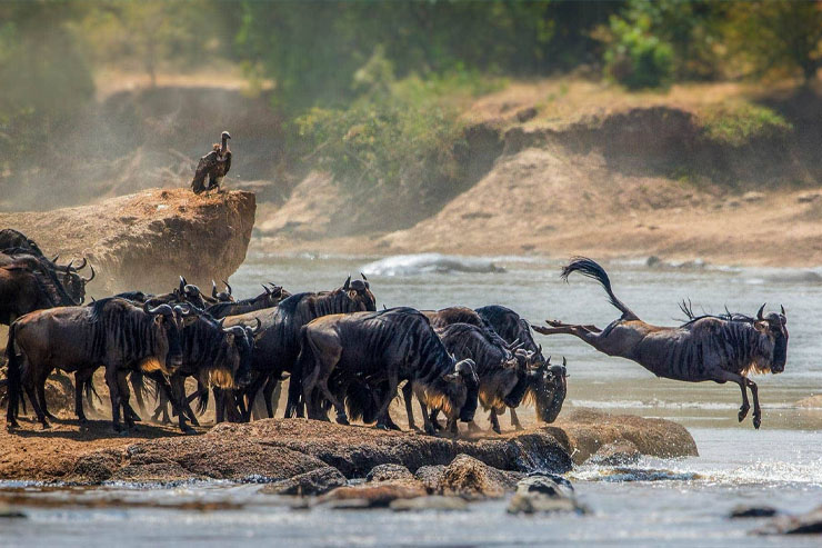 Serengeti National Park